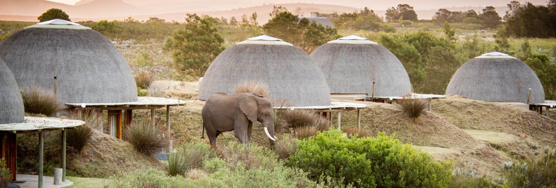 Gondwana Game Reserve - Kwena Lodge Exterior