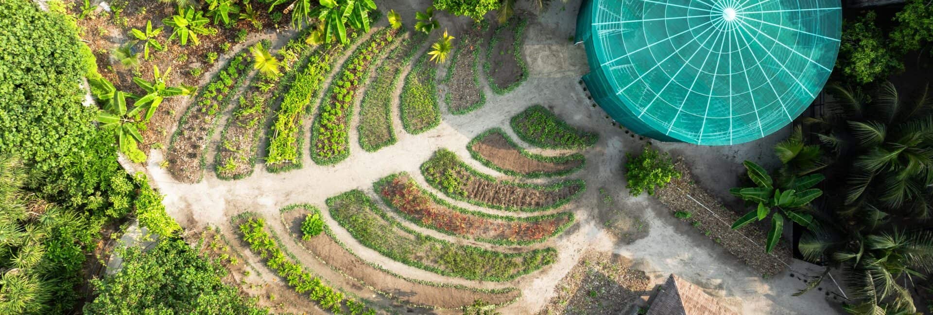 JA Manafaru Maldives - Garden