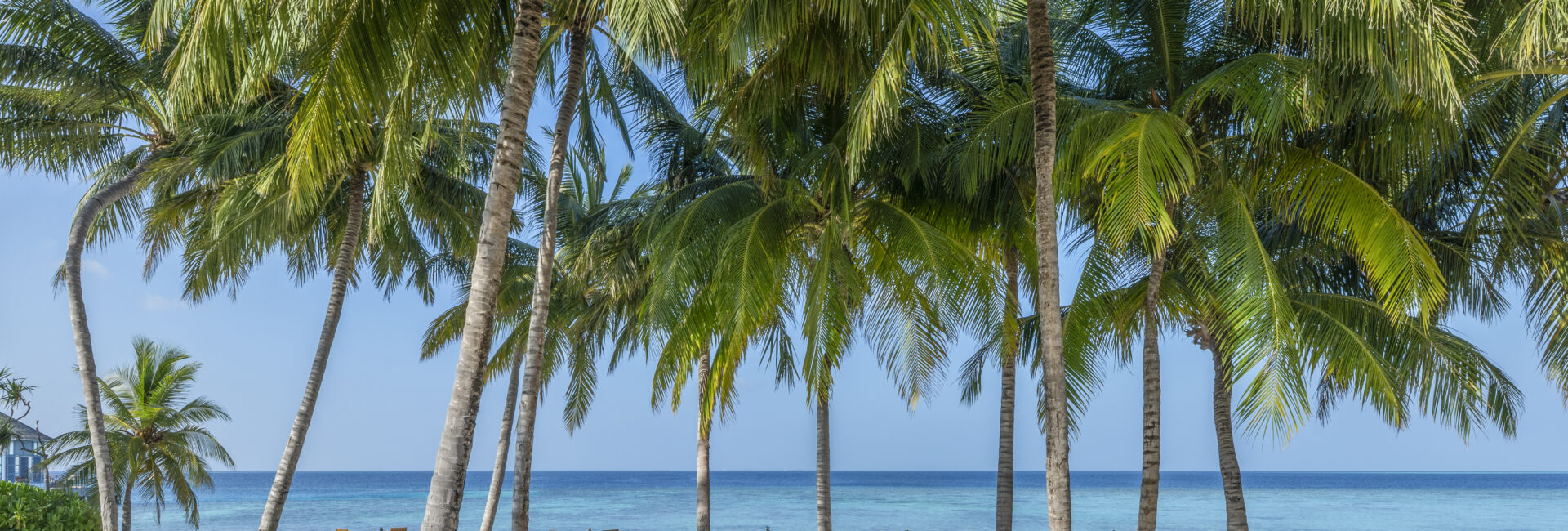 Halcyon Maldives - Thari Beach Area