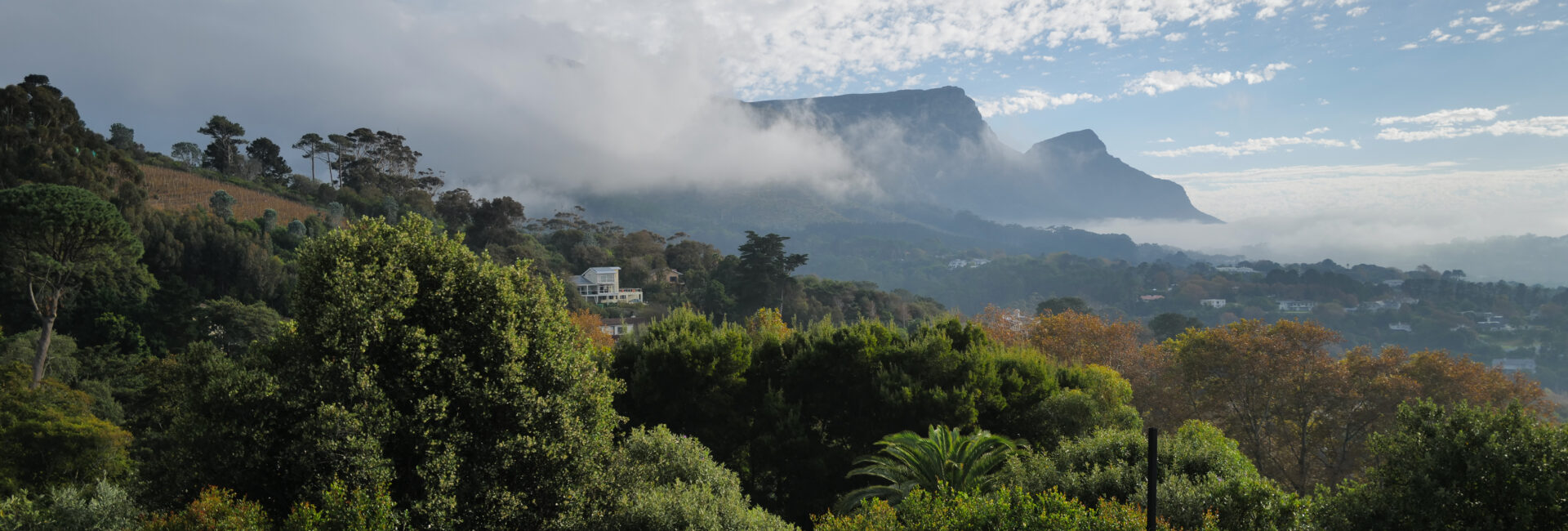 Villa Lion View - View Table Mountain